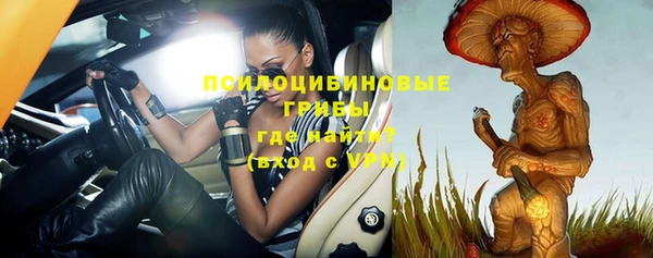 PSILOCYBIN Алексеевка