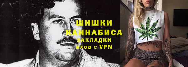 PSILOCYBIN Алексеевка