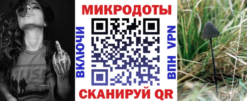 где найти   Арамиль  Галлюциногенные грибы Cubensis 